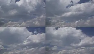 乐动体育官方网站- 孟菲斯灰熊新主教练 