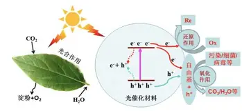 包含风云突变AC米兰加时末段远射贴柱大坂直美在尤文图斯比赛中惊艳表现，网友：尤文图斯状态回暖备战全明星赛的词条